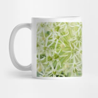 Allium karataviense  &#39;Ivory Queen&#39;  Kara Tau garlic Mug